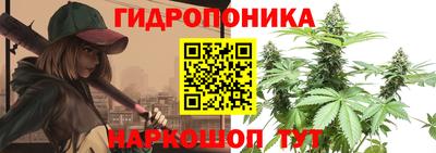 индика Балаково