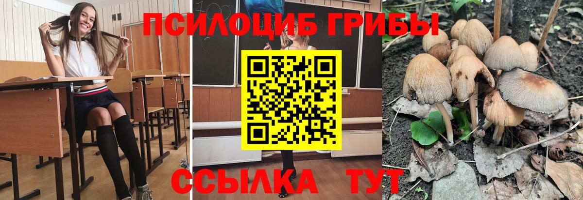 Галлюциногенные грибы мицелий  Вход с VPN  что такое   Галлюциногенные грибы Psilocybe  Дедовск 
